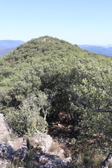 Paysage de montagne dans les Cévennes