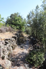Fototapeta premium Chemin de randonnée dans les Cévennes 