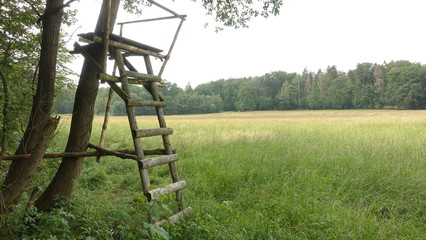 Fototapeta na wymiar Wooden hunting stand at forest clearing