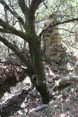 Maison en ruine dans les Cévennes