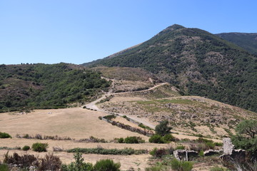 Fototapeta na wymiar Paysage de montagne dans les Cévennes 