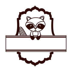 cute and adorable raccoon with frame