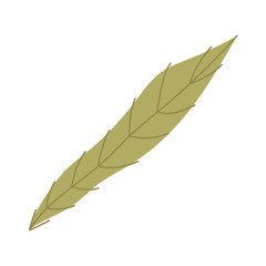 Fototapeta na wymiar Isolated leaf design vector illustration