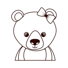 cute and adorable raccoon with frame