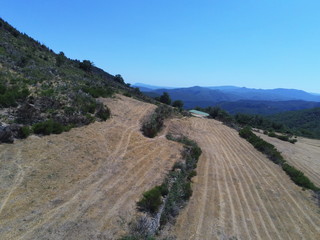 Champs dans les Cévennes