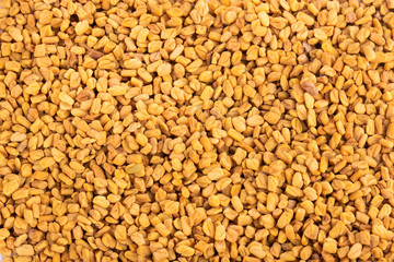 Trigonella foenum-graecum. Fenugreek seeds. Text space