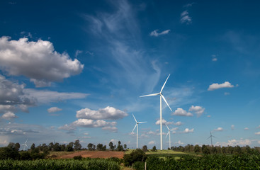 wind turbines in the field