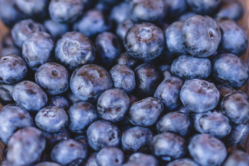 Fresh Blueberry Background. Texture blueberry berries close up. Various fresh summer berries. Selective focus.