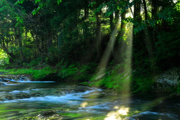 Obraz premium 岩手県 夏の渓流