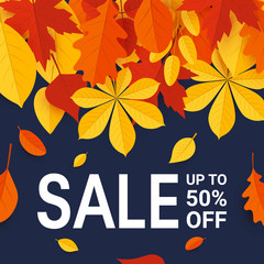 Fall sale promotion design in flat style