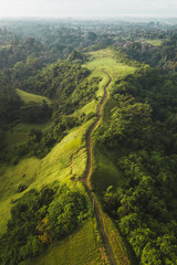 Aerial view of Campuhan Ridge Walk , Scenic Green Hill in Ubud Bali