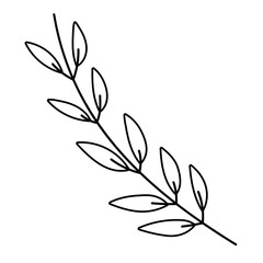 Isolated leaf design vector illustration