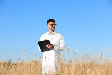 Agronomist with clipboard in wheat field. Cereal grain crop