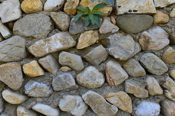 The old brick wall