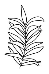 Isolated leaf design vector illustration
