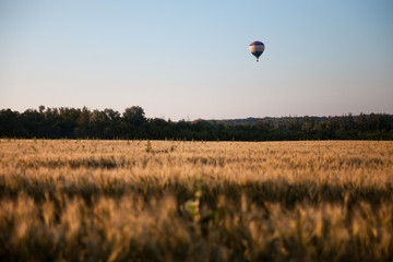 Hot air balloon over the yellow autumn field. Composition of nature and sky background