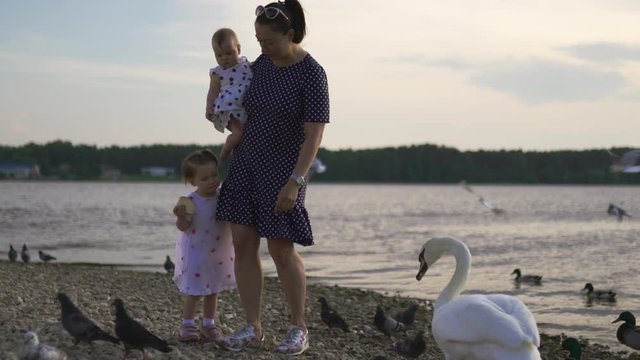 Young mother with her baby girl daughters feeding swan and little ducklings birds bread at a river wearing dotted dress - Family values warm color summer scene