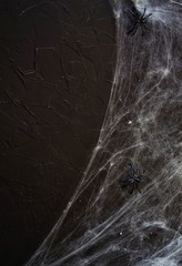 Cobweb or spider's web against a black background, to be used as overlay for Halloween designs