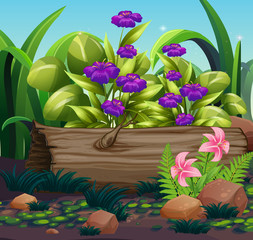 Nature scene with purple flowers in garden