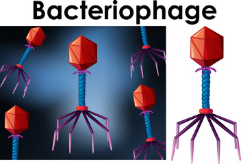 Close up isolated object of virus Bacteriophage