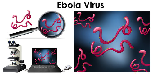 Close up isolated object of virus Ebola