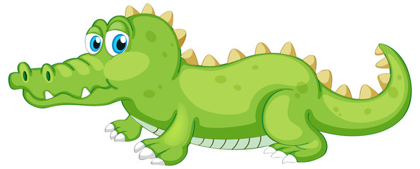 Green crocodile crawling on white background