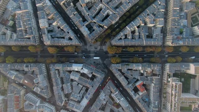Aerial: Tree-Lined Avenue Among Angled City Blocks in Paris, France