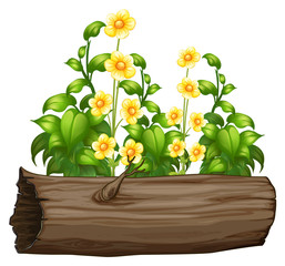 Flowers and wooden log on white background