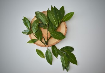Hojas de laurel, un ingrediente fundamental para dar sabor a los alimentos.