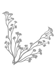 Fototapeta premium gras schön blume ast geäste pflanze baum kahl ohne blätter natur clipart design cool dekorativ hübsch