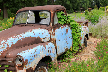Vintage truck overgrown by green vine