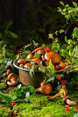Naklejka na ściany i meble Fresh boletus mushrooms in a wooden box. Moss and lichen background. Harvest concept