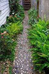 Relax and Fresh Beautiul Walkpath in the Garden After Rain
