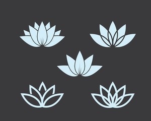  Lotus flowers vector  design logo Template