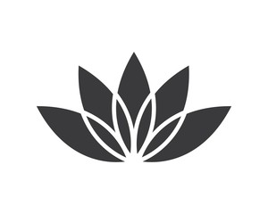  Lotus flowers vector  design logo Template