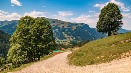 Fototapeta na wymiar Beautiful alpine view at Aurach near Kitzbühel, Tyrol, Austria