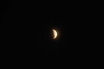 light in the dark