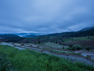 View of rice terraces at Thailand.
