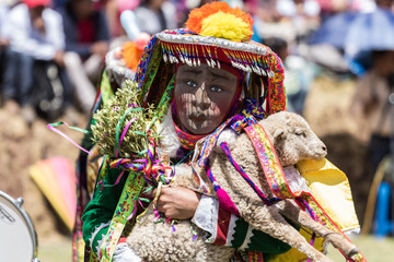 A peruvian dancer of "Kachampa" carry his sheep at feast of "Virgen del Rosario" in San Salvador, Cusco, Peru.