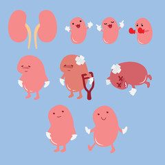 KIDNEY02