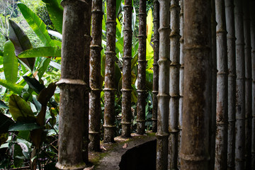 abandoned surrealistic Garden in Xilitla Mexico