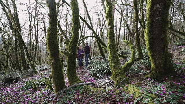 Two young people are walking deep in the forest on the sunny day
