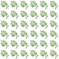 watercolor pattern hand-drawn from rowan leaves on a white background