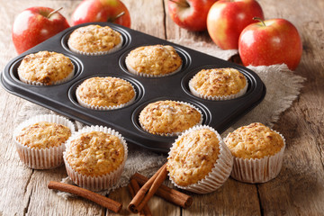 Vegetarian apple muffins with cinnamon close-up in a tray. horizontal