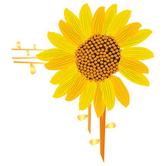 Isolated floral victorian border frame over a white background - Vector