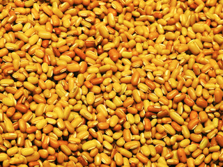  Variety of yellow beans. Good background. Food.     