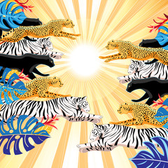 Illustration of jumping panthers, tigers and cheetahs on a sunny tropical background.
