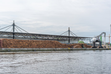 huge stacks of tree trunks lie in a transshipment port and are loaded by a large crane
