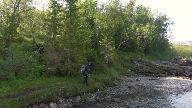 Fishing in te forest