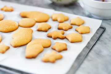 Happy time for kids are preparing the dough, bake cookies in the kitchen, gingerbread man cookies,Christmas baking preparation. 
